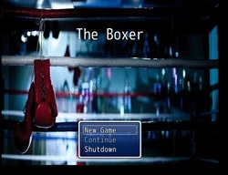 The Boxer